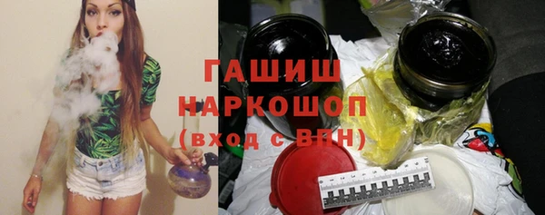 индика Арсеньев