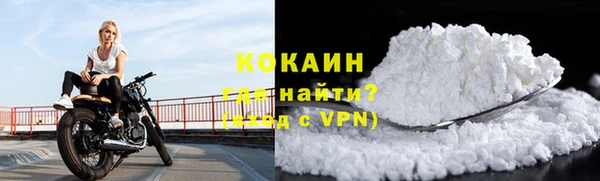 индика Арсеньев