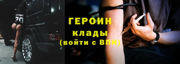 индика Арсеньев
