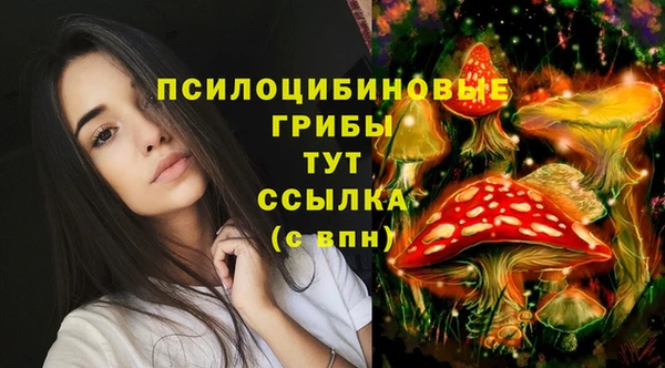 меф Армянск