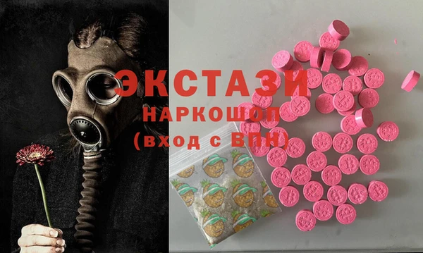 индика Арсеньев