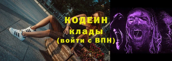 индика Арсеньев
