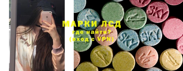 индика Арсеньев