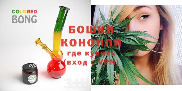 индика Арсеньев