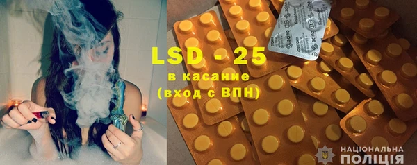 индика Арсеньев