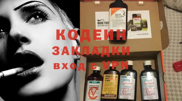 индика Арсеньев