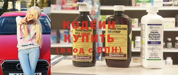 индика Арсеньев