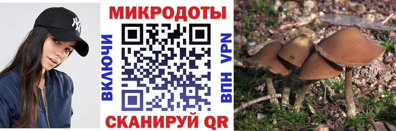Купить где  Удомля  Псилоцибиновые грибы GOLDEN TEACHER 
